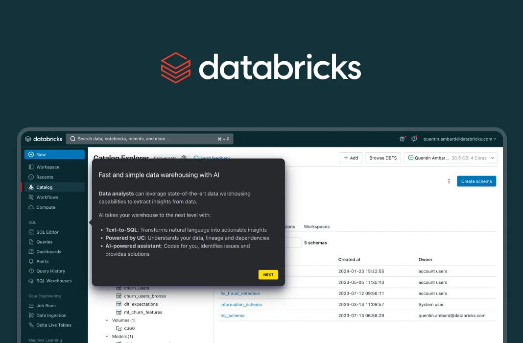 Product screenshot of databricks platform